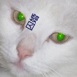 囚婚