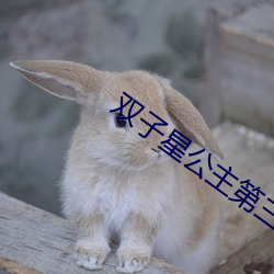 双子星公主第(第)三部中文版(版)全(全)