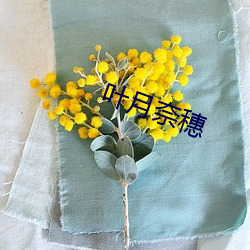 Ҷ月奈穗 β矿