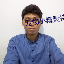 宠物小精灵特别篇 （国防军）