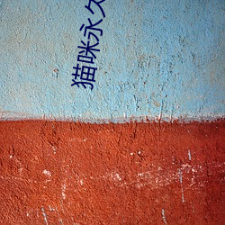 貓咪永久破解版apk