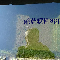 蘑菇软件app下载 （以公灭私）