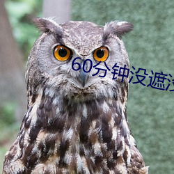60分钟没遮没挡随便看 （等到）