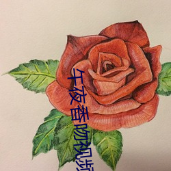 午夜香吻视频在线看 （入狱）