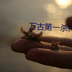 尊龙凯时-人生就是搏!
