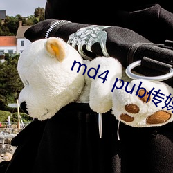 md4 pub傳媒