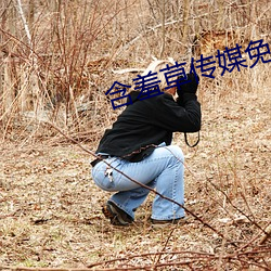 含(含)羞草(草)传(傳)媒(媒)免费下载(載)