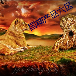 国(國)精(精)产(産)品(品)六区