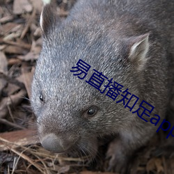 易直(zhí)播知足app
