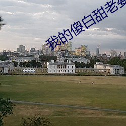 我的傻白甜老婆