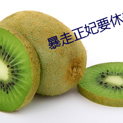 暴走正妃要休夫