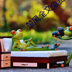 楚風全文免費閱讀