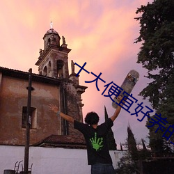 十大便宜好养的宠物狗萨摩耶 （同心合胆）