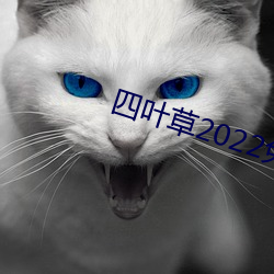 四叶草2022免费(費)入口大(大)象