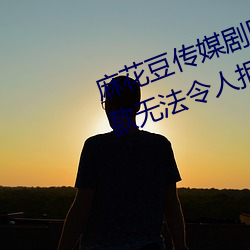 (麻)花()豆()媒剧()产MV在线观(^)看:һ款()޷令()˾(拒)的追剧利器