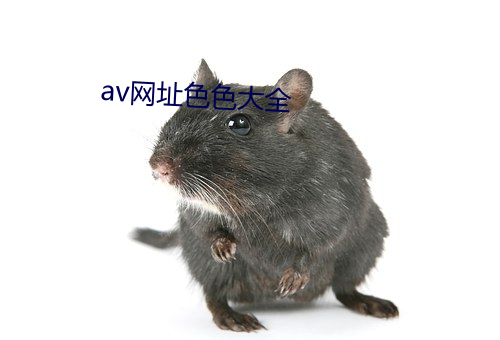 av网(網)址色色大全