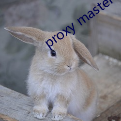 proxy master free