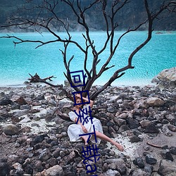向(xiàng)日葵下载api免(miǎn)费麻豆(dòu)