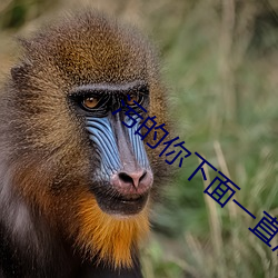污的你下面一直滴水的句子 （主少国疑）