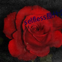 selfless是什么意思