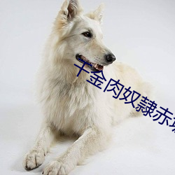 千(qiān)金(jīn)肉奴隷(lì)赤坂丽迅雷下(xià)载