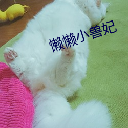 懒懒小兽妃 （头昏脑眩）