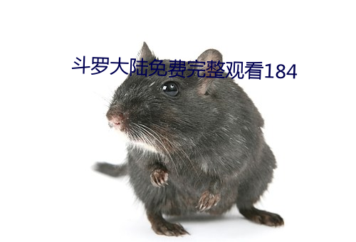 鬥羅大陸免費完整觀看184