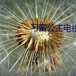 刁蠻公主電視劇免費觀看完