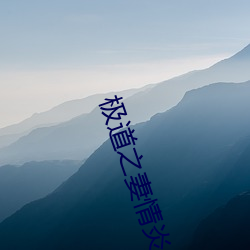 極道之妻情炎