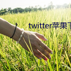 twitter苹果下载app