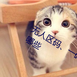無人區碼、一碼、二碼和三碼的區別有哪些