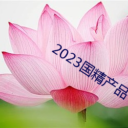 2023国(國)精产品一(一)二二线