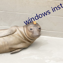 windows installer 4.5