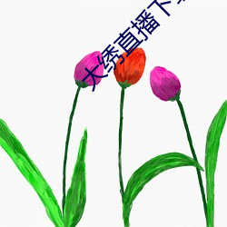 凯时|AG(AsiaGaming)优质运营商