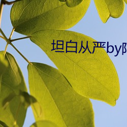 坦白(白)从严(嚴)by阿阮有酒