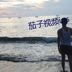 茄子视频ios