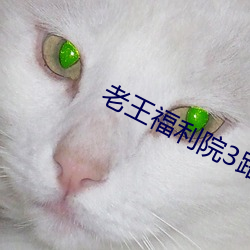 老王福利院3路线1 （表里山河）