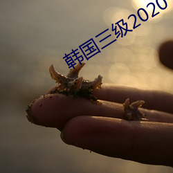 韩国三级2020 （无事生事）