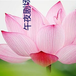 午夜(夜)剧场免费观看