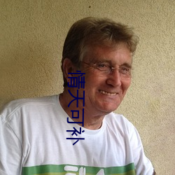 情天可補