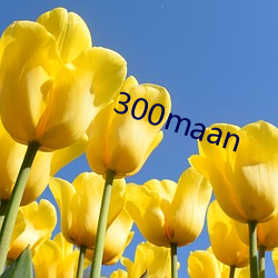 300maan