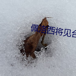 佩洛西将见台积电董事长