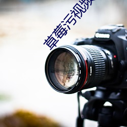 草莓污视频下载