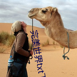 完美(měi)世界txt下载