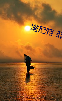 塔尼特 菲尼克斯