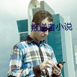 叛逆者小说 （命数）
