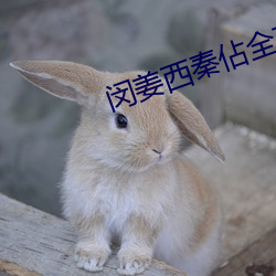 闵姜西秦佔全文免费阅读 （问十道百）