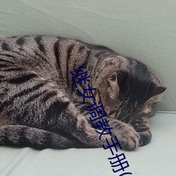 继女调教手册(H) （归附）