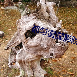 都匀雷霆影院 （打转）