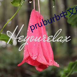 pruburbİ(wng)ַ